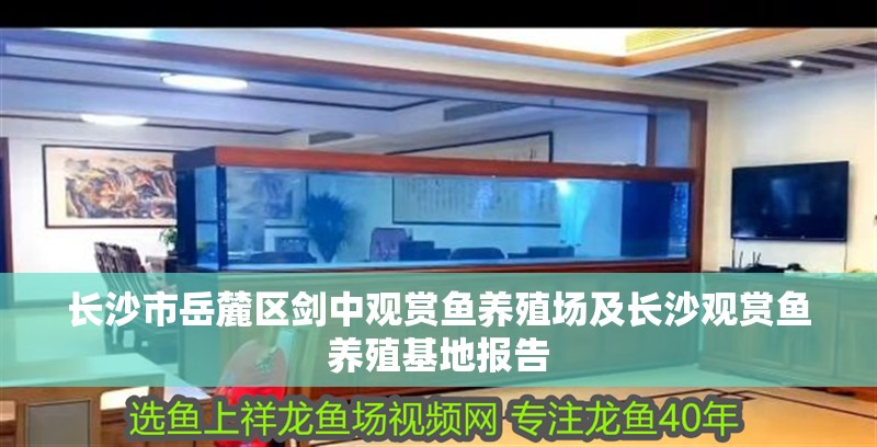 長<strong><mark>沙市</mark></strong>岳麓區(qū)劍中觀賞魚養(yǎng)殖場及長沙觀賞魚養(yǎng)殖基地報告