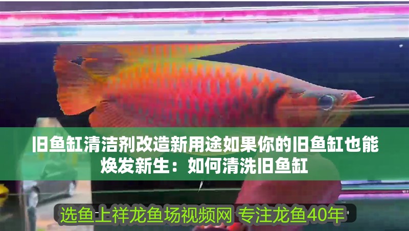 舊魚缸清潔劑改造新用途如果你的舊魚缸也能煥發(fā)新生：如何清洗舊魚缸 舊魚缸清潔劑改造新用途如果你的舊魚缸也能煥發(fā)新生：如何清洗舊魚缸 魚缸百科