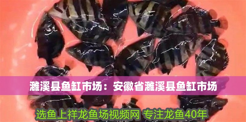 <strong><mark>濉溪</mark></strong>縣魚缸市場：安徽省<strong><mark>濉溪</mark></strong>縣魚缸市場