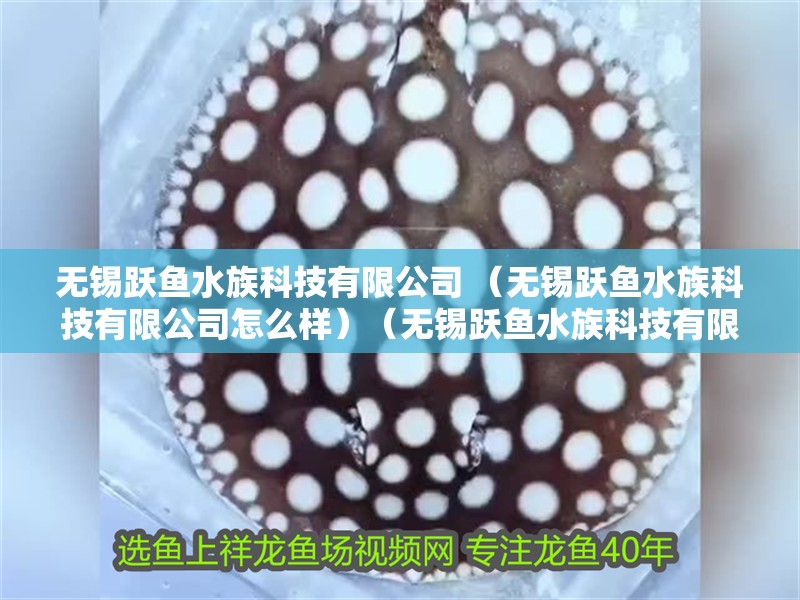 無錫躍魚水族科技有限公司 （無錫躍魚水族科技有限公司怎么樣）（無錫躍魚水族科技有限公司） 無錫躍魚水族科技有限公司 （無錫躍魚水族科技有限公司怎么樣）（無錫躍魚水族科技有限公司） 全國水族館企業名錄