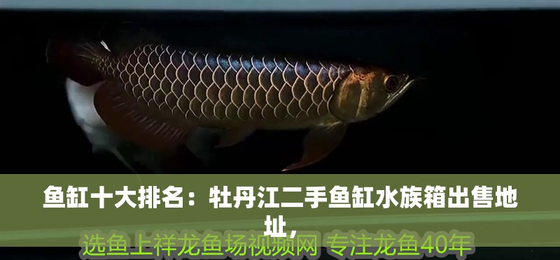 魚缸十大排名：牡丹江二手魚缸水族箱出售地址，