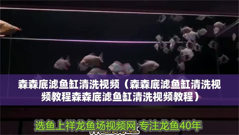 森森底濾魚缸清洗視頻（森森底濾魚缸清洗視頻教程森森底濾魚缸清洗視頻教程）