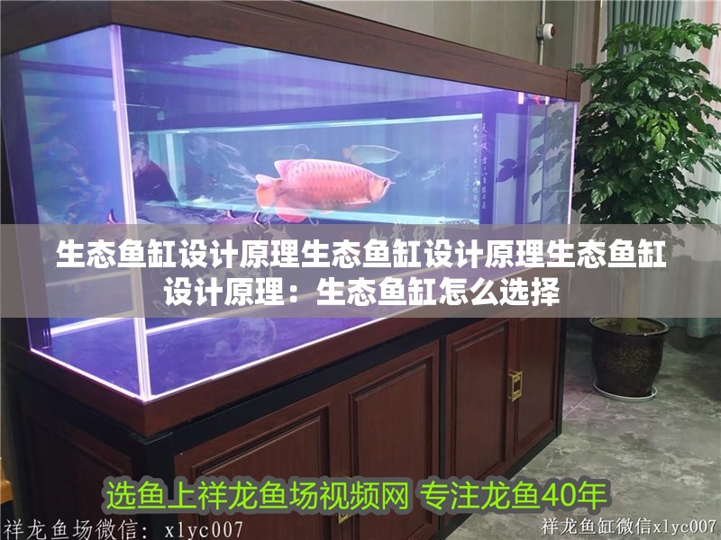 生態魚缸設計原理生態魚缸設計原理生態魚缸設計原理：生態魚缸怎么選擇 生態魚缸設計原理生態魚缸設計原理生態魚缸設計原理：生態魚缸怎么選擇 魚缸百科