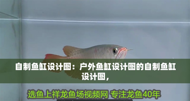自制魚缸設(shè)計圖：戶外魚缸設(shè)計圖的自制魚缸設(shè)計圖，