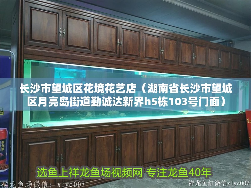 長<strong><mark>沙市</mark></strong>望城區(qū)花境花藝店（湖南省長<strong><mark>沙市</mark></strong>望城區(qū)月亮島街道勤誠達新界h5棟103號門面）
