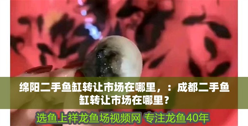 綿陽二手魚缸轉讓市場在哪里，：<strong><mark>成都</mark></strong>二手魚缸轉讓市場在哪里？