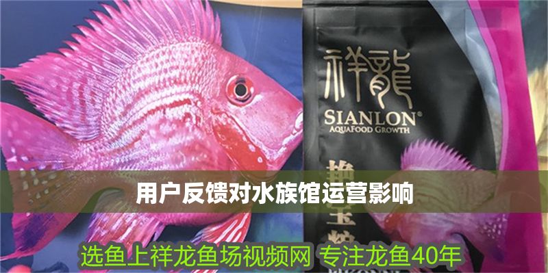 用戶反饋對水族館運營影響