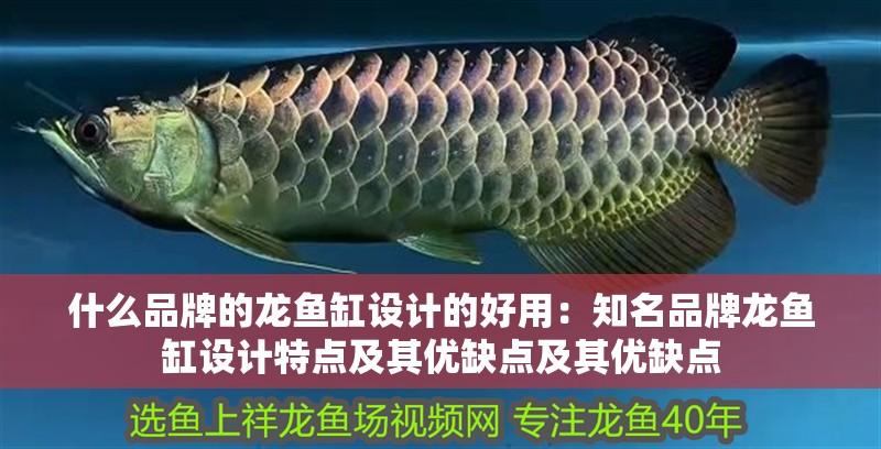 什么品牌的龍魚缸設(shè)計的好用：知名品牌龍魚缸設(shè)計特點及其優(yōu)缺點及其優(yōu)缺點