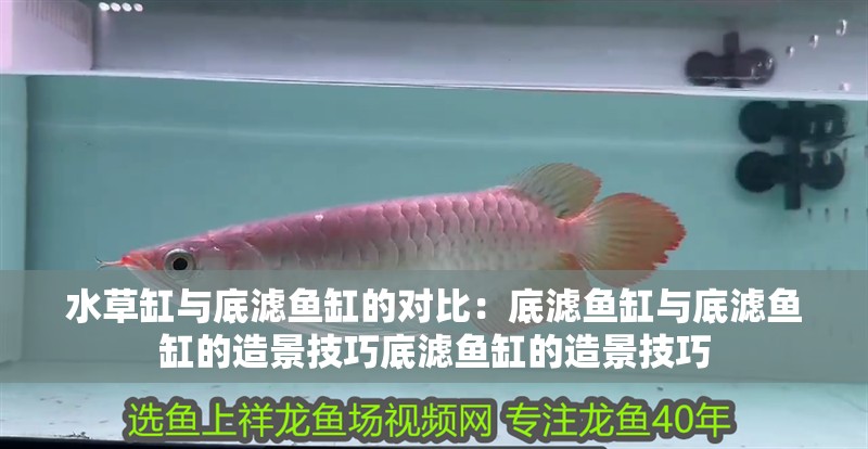 水草缸與底濾魚缸的對比：底濾魚缸與底濾魚缸的造景技巧底濾魚缸的造景技巧