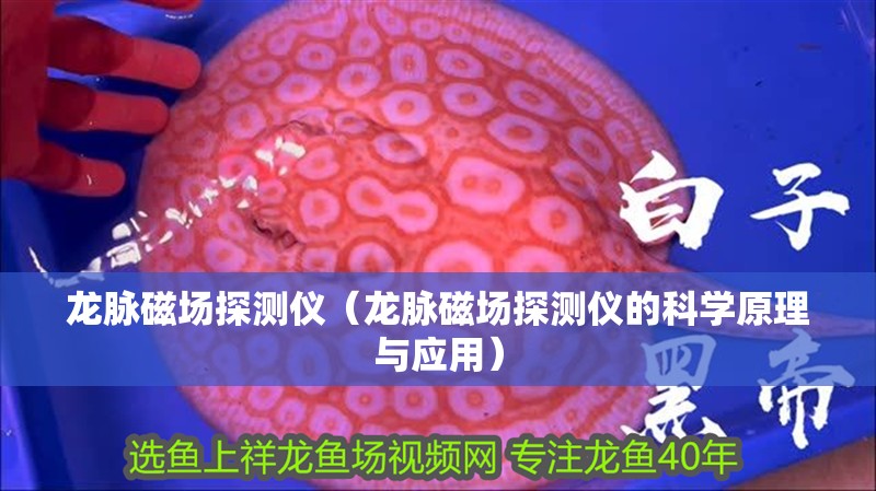 龍脈磁場探測儀（龍脈磁場探測儀的科學原理與應用）