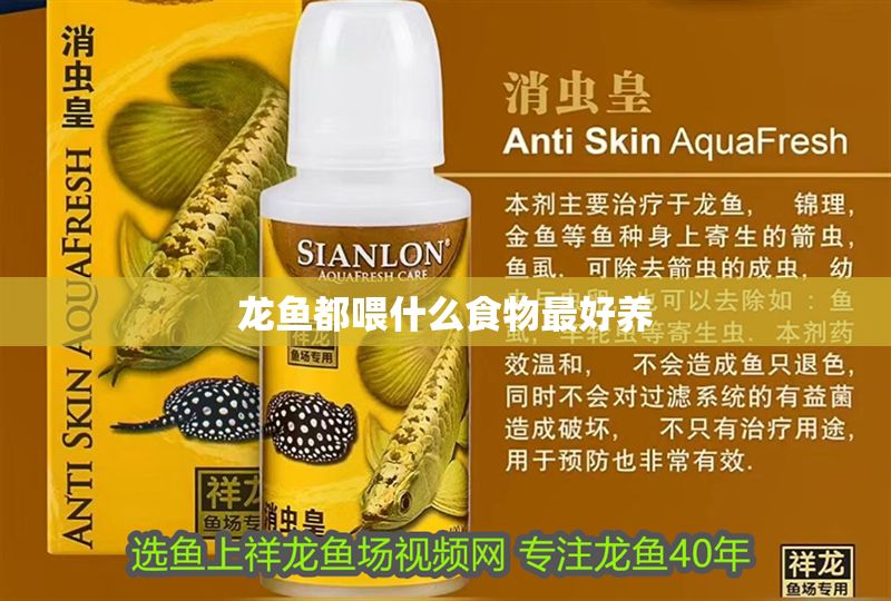 龍魚都喂什么食物最好養