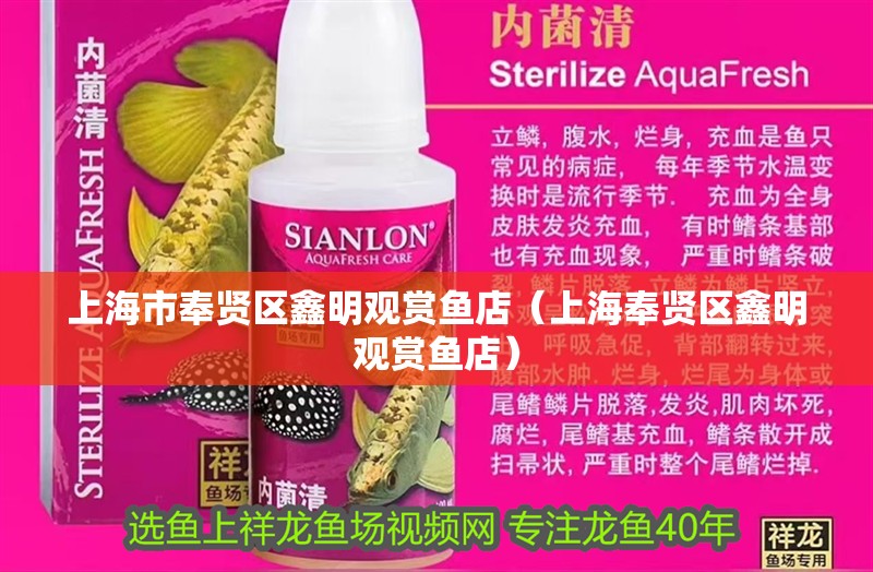 上海市奉賢區(qū)鑫明觀賞魚店（上海奉賢區(qū)鑫明觀賞魚店）