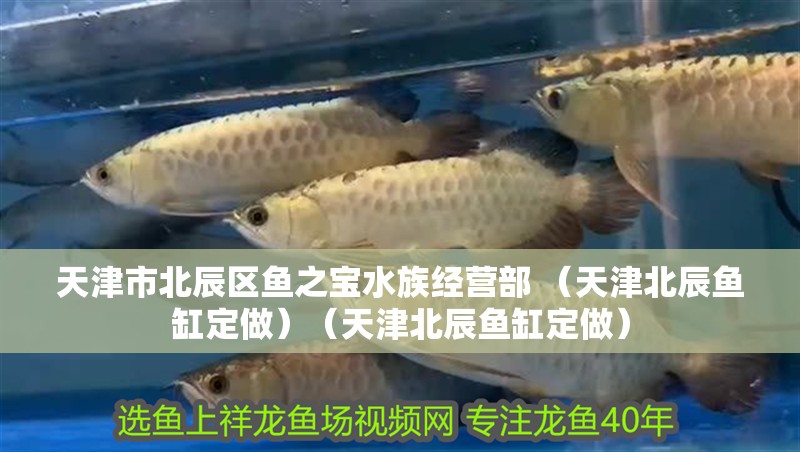 天津市北辰區魚之寶水族經營部 （天津北辰魚缸定做）（天津北辰魚缸定做）