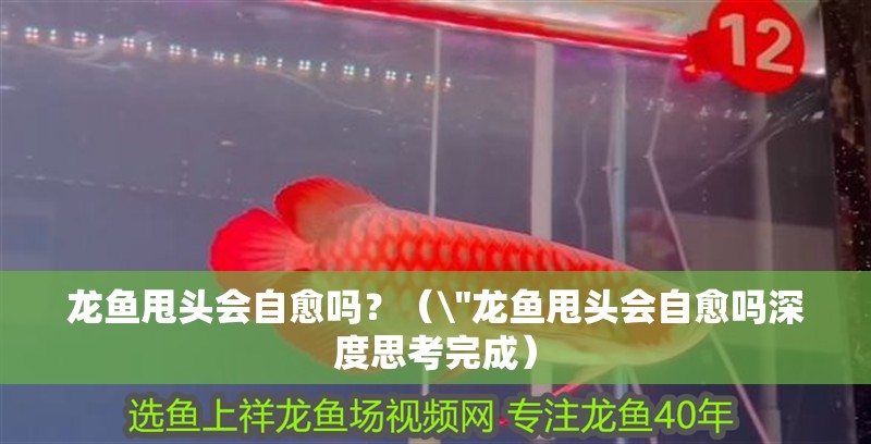 龍魚甩頭會自愈嗎？（ 龍魚甩頭會自愈嗎？（\