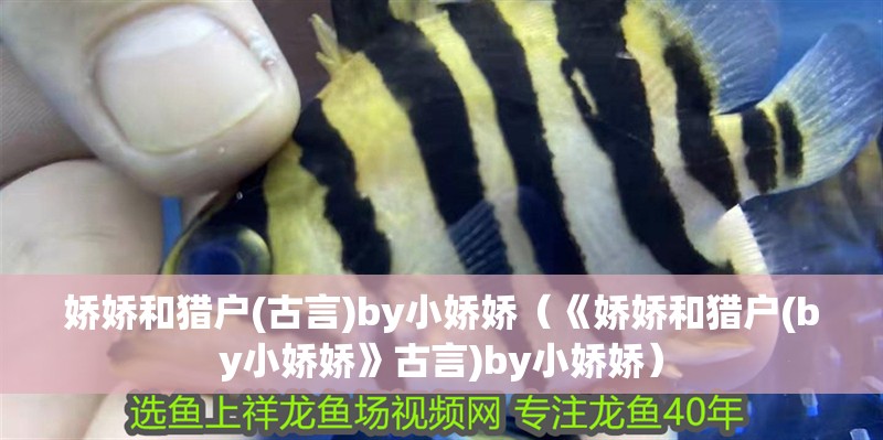 嬌嬌和獵戶(古言)by小嬌嬌（《嬌嬌和獵戶(by小嬌嬌》古言)by小嬌嬌）