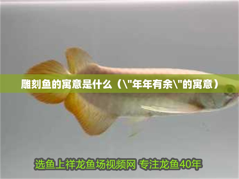 雕刻魚的寓意是什么（ 雕刻魚的寓意是什么（\