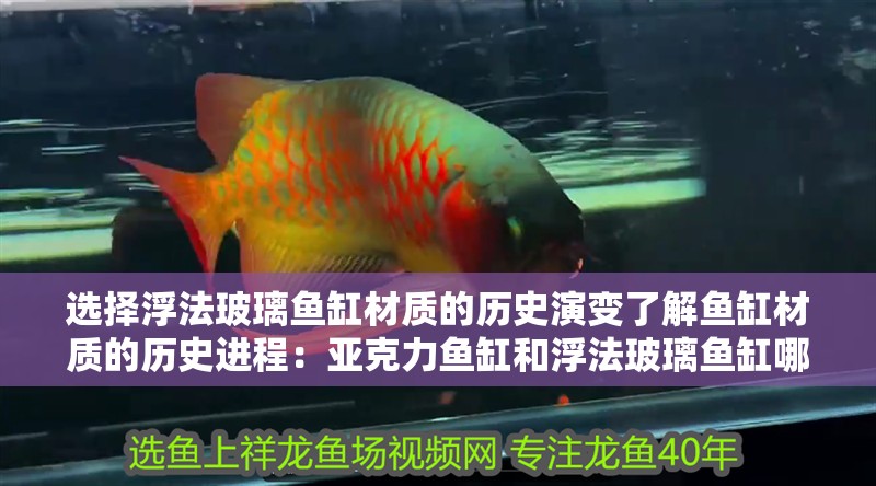 選擇浮法玻璃魚缸材質的歷史演變了解魚缸材質的歷史進程：亞克力魚缸和浮法玻璃魚缸哪個好 選擇浮法玻璃魚缸材質的歷史演變了解魚缸材質的歷史進程：亞克力魚缸和浮法玻璃魚缸哪個好 魚缸百科