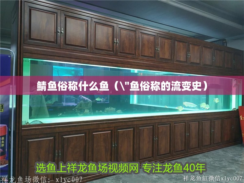 鯖魚俗稱什么魚（\