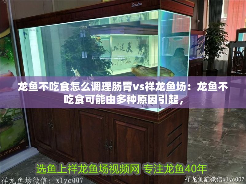 龍魚不吃食怎么調理腸胃vs祥龍魚場：龍魚不吃食可能由多種原因引起， 龍魚不吃食怎么調理腸胃vs祥龍魚場：龍魚不吃食可能由多種原因引起， vs祥龍魚場 第1張