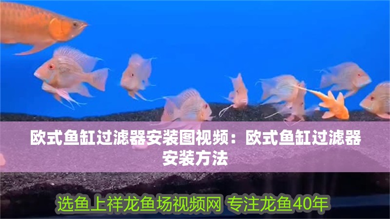歐式魚缸過濾器安裝圖視頻：歐式魚缸過濾器安裝方法