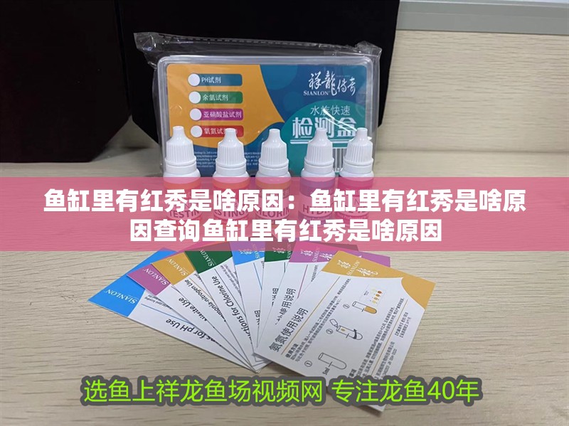 魚缸里有紅秀是啥原因：魚缸里有紅秀是啥原因查詢魚缸里有紅秀是啥原因