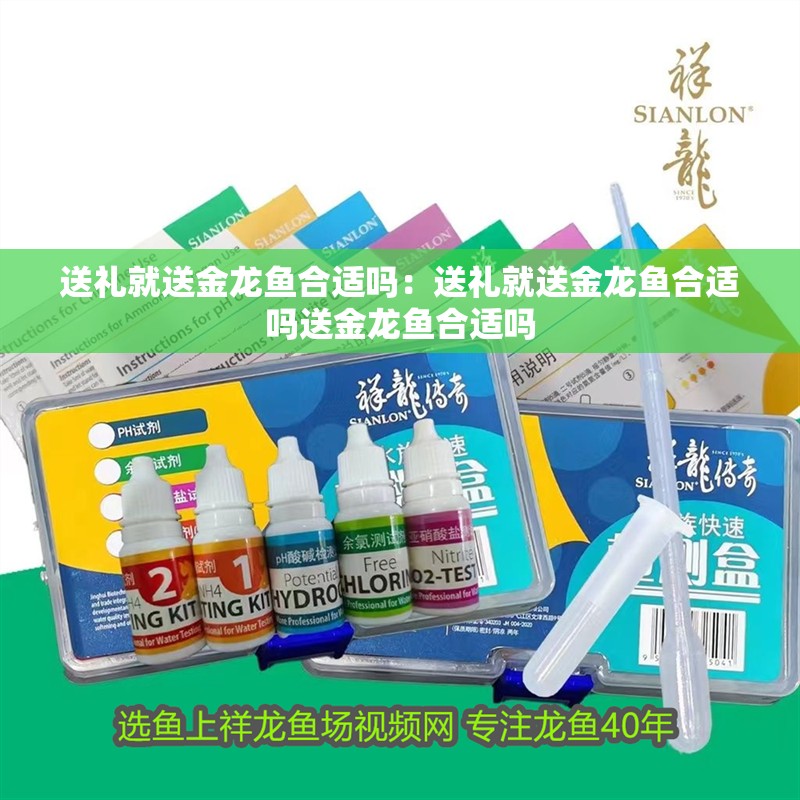 送禮就送金龍魚合適嗎：送禮就送金龍魚合適嗎送金龍魚合適嗎 送禮就送金龍魚合適嗎：送禮就送金龍魚合適嗎送金龍魚合適嗎 龍魚百科