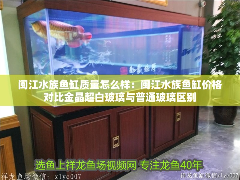 閩江水族魚缸質(zhì)量怎么樣：閩江水族魚缸價(jià)格對(duì)比金晶超白玻璃與普通玻璃區(qū)別 閩江水族魚缸質(zhì)量怎么樣：閩江水族魚缸價(jià)格對(duì)比金晶超白玻璃與普通玻璃區(qū)別 魚缸百科