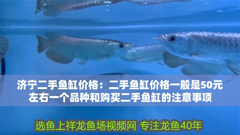 濟寧二手魚缸價格：二手魚缸價格一般是50元左右一個品種和購買二手魚缸的注意事項