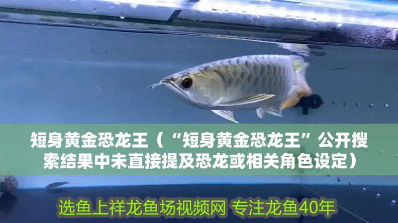 短身黃金恐龍王（“短身黃金恐龍王”公開搜索結果中未直接提及恐龍或相關角色設定）