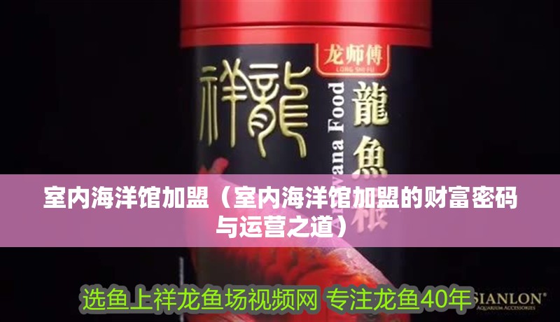 室內海洋館加盟（室內海洋館加盟的財富密碼與運營之道）