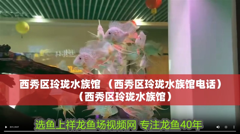 西秀區(qū)玲瓏水族館 （西秀區(qū)玲瓏水族館電話）（西秀區(qū)玲瓏水族館） 西秀區(qū)玲瓏水族館 （西秀區(qū)玲瓏水族館電話）（西秀區(qū)玲瓏水族館） 全國水族館企業(yè)名錄