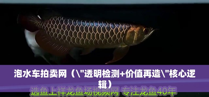 泡水車拍賣網（\