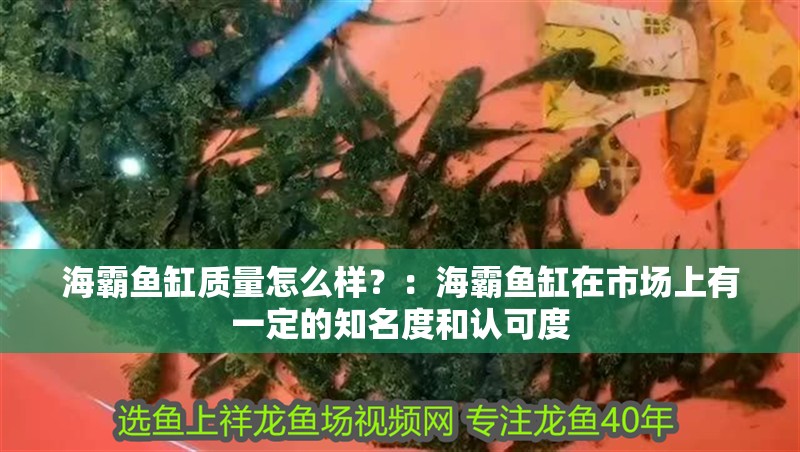 海霸魚缸質量怎么樣？：海霸魚缸在市場上有一定的知名度和認可度
