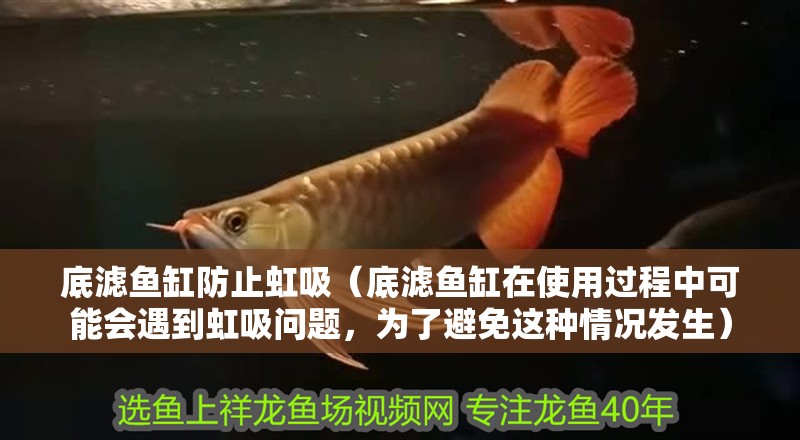 底濾魚缸防止虹吸（底濾魚缸在使用過程中可能會遇到虹吸問題，為了避免這種情況發(fā)生）