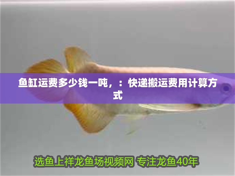 魚缸運費多少錢一噸，：快遞搬運費用計算方式