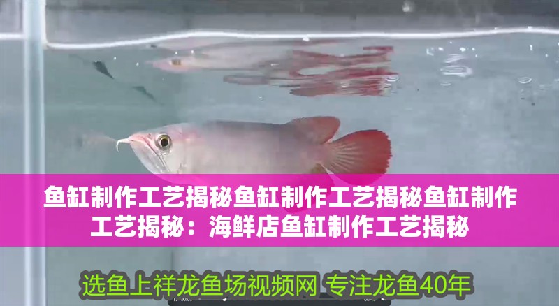 魚缸制作工藝揭秘魚缸制作工藝揭秘魚缸制作工藝揭秘：海鮮店魚缸制作工藝揭秘
