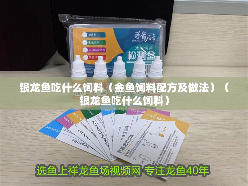 銀龍魚(yú)吃什么飼料（金魚(yú)飼料配方及做法）（銀龍魚(yú)吃什么飼料）