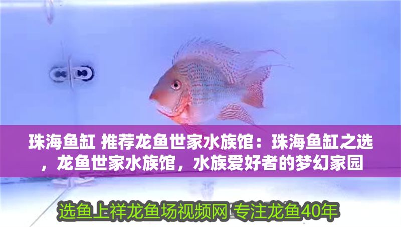 珠海魚缸 推薦龍魚世家水族館：珠海魚缸之選，龍魚世家水族館，水族愛好者的夢幻家園