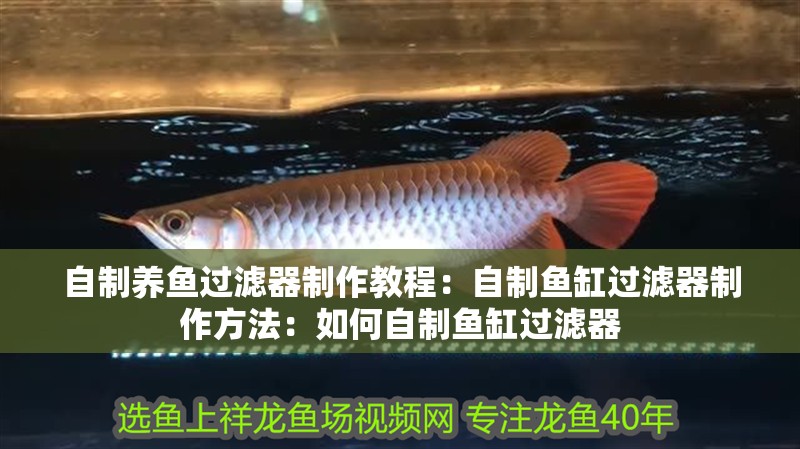 自制養(yǎng)魚(yú)過(guò)濾器制作教程：自制魚(yú)缸過(guò)濾器制作方法：如何自制魚(yú)缸過(guò)濾器