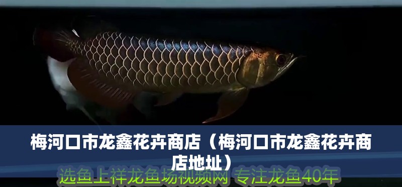 梅<strong><mark>河口</mark></strong>市龍鑫花卉商店（梅<strong><mark>河口</mark></strong>市龍鑫花卉商店地址）