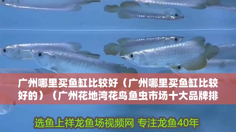 廣州哪里買魚缸比較好（廣州哪里買魚缸比較好的）（廣州花地灣花鳥魚蟲市場十大品牌排行榜森森森集團(tuán)股份有哪些）