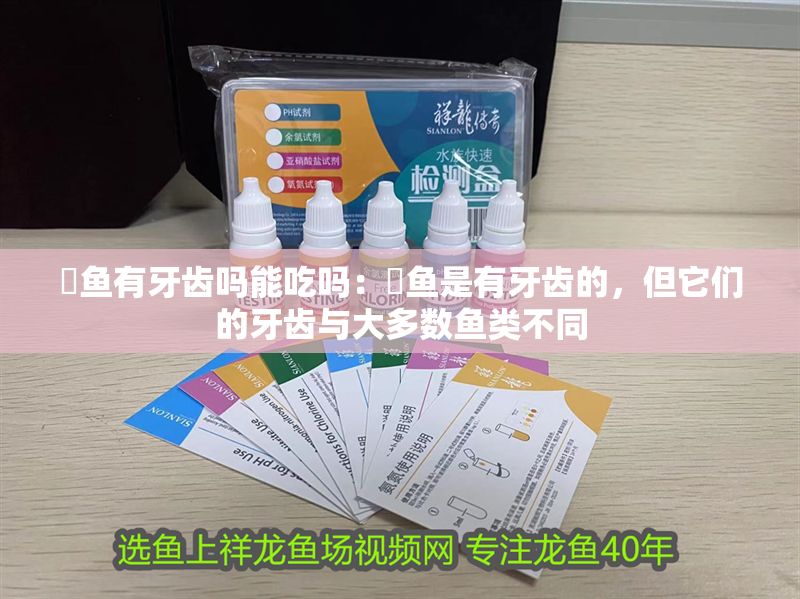 魟魚有牙齒嗎能吃嗎：魟魚是有牙齒的，但它們的牙齒與大多數(shù)魚類不同