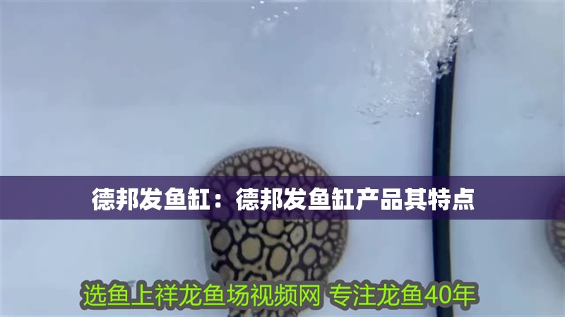 德邦發魚缸：德邦發魚缸產品其特點