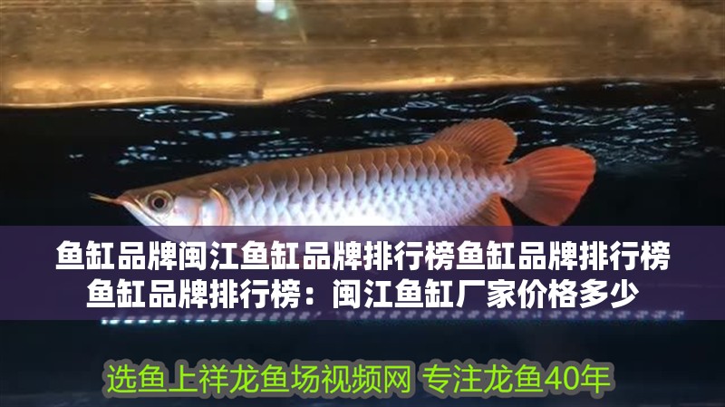 魚缸品牌閩江魚缸品牌排行榜魚缸品牌排行榜魚缸品牌排行榜：閩江魚缸廠家價(jià)格多少