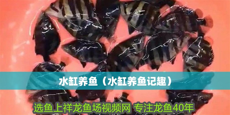 水缸養(yǎng)魚（水缸養(yǎng)魚記趣）