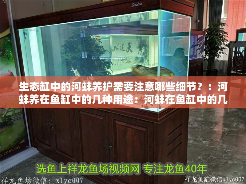生態缸中的河蚌養護需要注意哪些細節？：河蚌養在魚缸中的幾種用途：河蚌在魚缸中的幾種用途
