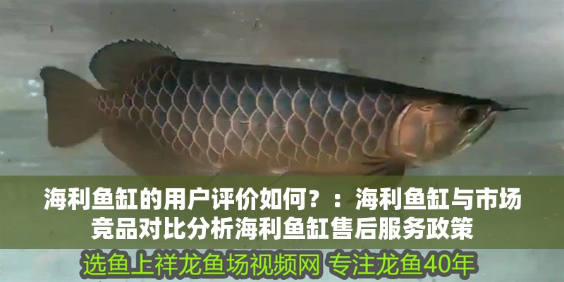 海利魚缸的用戶評價如何？：海利魚缸與市場競品對比分析海利魚缸售后服務政策
