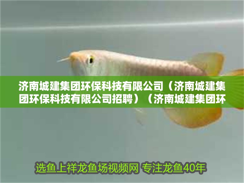 濟<strong><mark>南城</mark></strong>建集團環保科技有限公司（濟<strong><mark>南城</mark></strong>建集團環保科技有限公司招聘）（濟<strong><mark>南城</mark></strong>建集團環保科技有限公司）