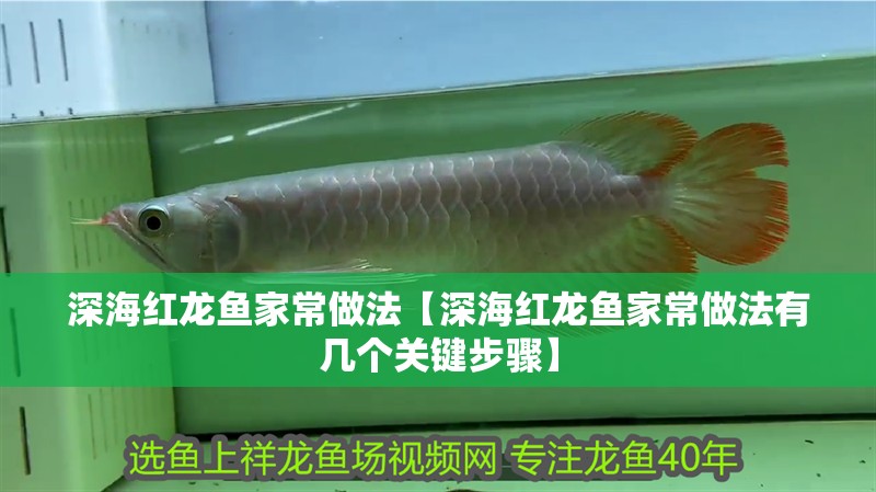 深海紅龍魚家常做法【深海紅龍魚家常做法有幾個關鍵步驟】