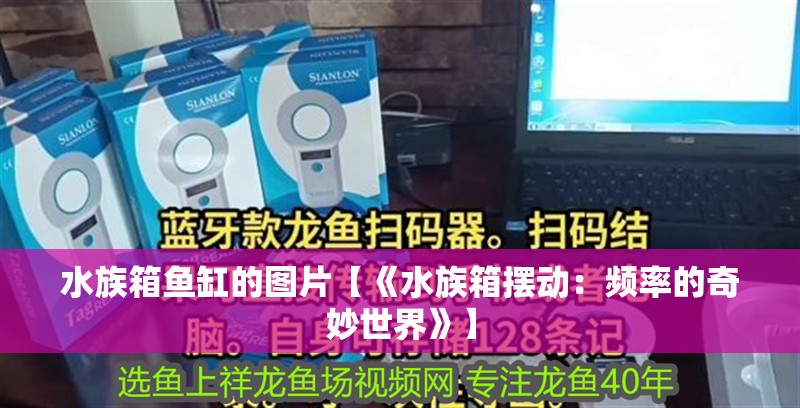 水族箱魚缸的圖片【《水族箱擺動：頻率的奇妙世界》】